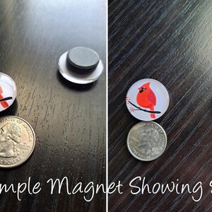 May include: Two round magnets with a cardinal bird design on a white background. The magnets are approximately the size of a US quarter.