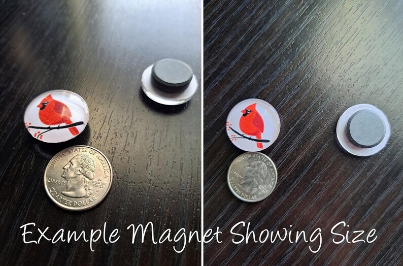 May include: Two round magnets with a cardinal bird design on a white background. The magnets are approximately the size of a US quarter.