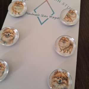 May include: Set of six round glass magnets featuring watercolor illustrations of Pomeranian dogs. Each magnet has a white background and a clear glass cover. The magnets are arranged on a white card with the text "Ochon Design Studio Handmade Glass Magnet".