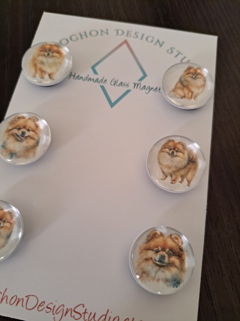 May include: Set of six round glass magnets featuring watercolor illustrations of Pomeranian dogs. Each magnet has a white background and a clear glass cover. The magnets are arranged on a white card with the text "Ochon Design Studio Handmade Glass Magnet".