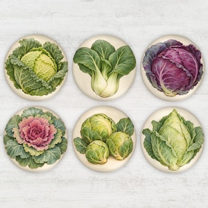 25mm Cabbage Patch Glass Cabochons, 1 Inch, Handmade, Flatback, Brassica, Vegetable, Farmhouse Kitchen, Gardener