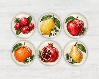 Cabujones de vidrio navideños de frutas azucaradas de 25 mm, 1 pulgada, hechos a mano, parte posterior plana, botánico de invierno, cítricos, perenne,
