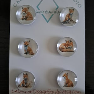 Baby Fox Magnets, Button Pin, Glass, Cabochon, Fridge Magnets, Home Decor, Gift Idea