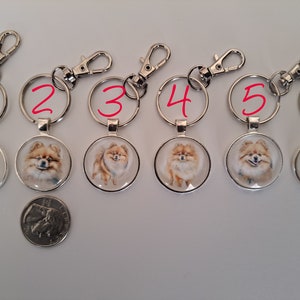 May include: Six silver keychains with round glass charms featuring a painted image of a Pomeranian dog. Each keychain has a number from 1 to 6 written on the ring.