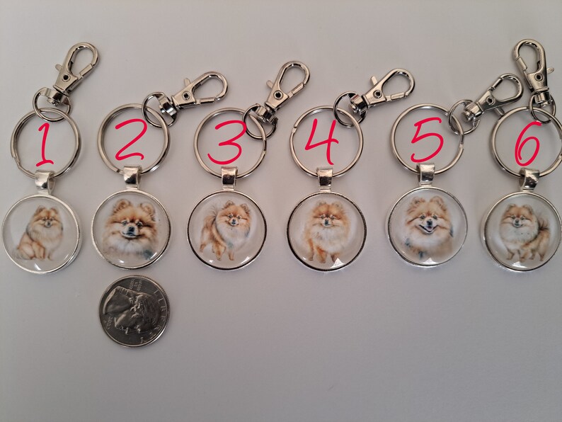 May include: Six silver keychains with round glass charms featuring a painted image of a Pomeranian dog. Each keychain has a number from 1 to 6 written on the ring.