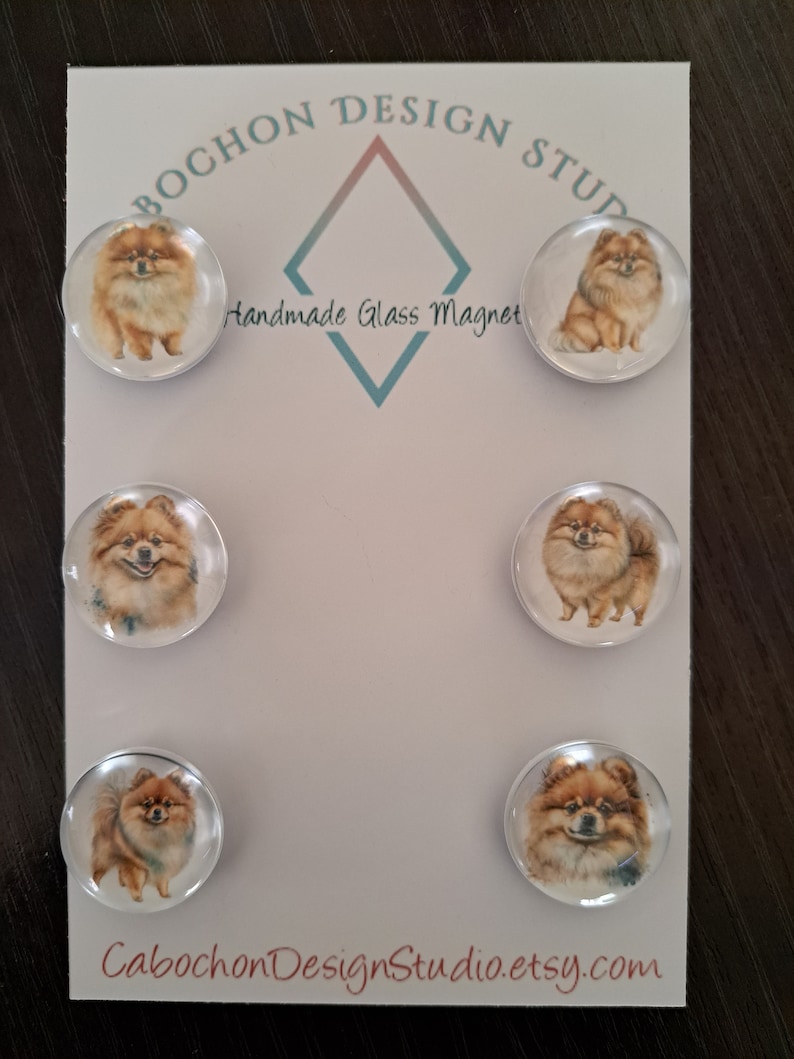 May include: Set of six round glass magnets featuring a brown and white Pomeranian dog. The magnets are displayed on a white card with the text "Bochon Design Studio" and "Handmade Glass Magnet".