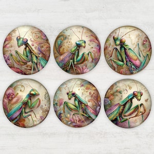 May include: Six round coasters featuring watercolor illustrations of praying mantises. The mantises are depicted in shades of green, blue, and purple, set against a backdrop of floral and swirling patterns. Each coaster has a glossy finish.