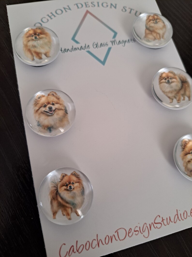 May include: Set of five round glass magnets featuring a brown and white Pomeranian dog. The magnets are handmade and have a white background. The text "Cabochon Design Studio" is printed on the bottom of the card.