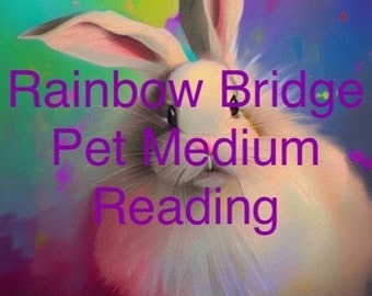 Psychic Medium reading with a pet over the rainbow bridge READ DESCRIPTION