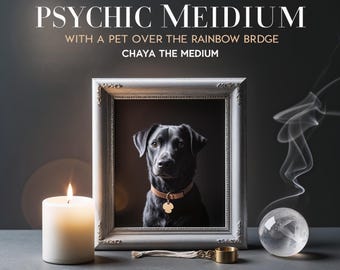 Pet Medium Reading | Messages From Over the Rainbow Bridge | Same Hour Delivery