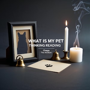 What Is On Your Pet’s Mind? Reading • Same Hour Delivery