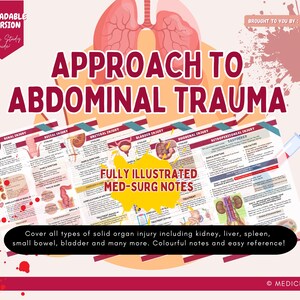 Bauchtrauma Studien-Leitfaden: ATLS Pflegehinweise (PDF-Download