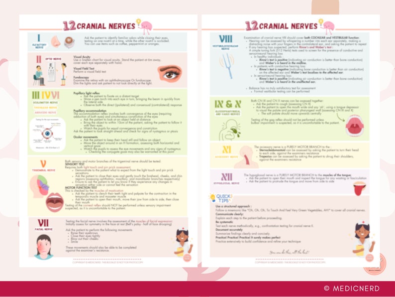 Cranial Nerves Assessment Guide | Study Sheet | Nursing Student ...