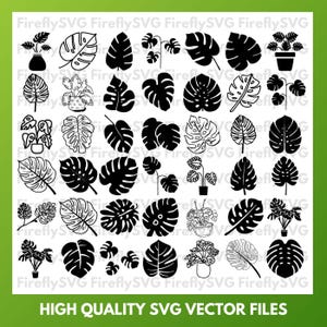 K&ouml;nnte beinhalten: Ein Satz von 48 Schwarzwei&szlig;-SVG-Vektor-Dateien mit verschiedenen Monstera-Blattdesigns. Die Designs umfassen ganze Bl&auml;tter, Teilbl&auml;tter und Bl&auml;tter mit Stielen.