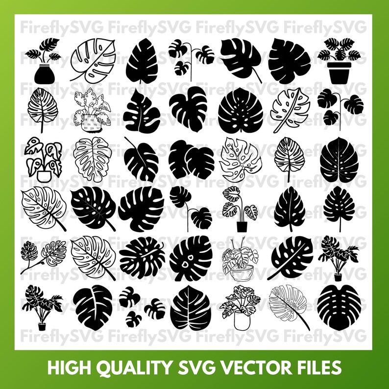 K&ouml;nnte beinhalten: Ein Satz von 48 Schwarzwei&szlig;-SVG-Vektor-Dateien mit verschiedenen Monstera-Blattdesigns. Die Designs umfassen ganze Bl&auml;tter, Teilbl&auml;tter und Bl&auml;tter mit Stielen.