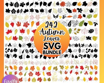 Autumn Leaves SVG Bundle, autumn svg, fall svg bundle, fall svg, autumn leaves svg, thanksgiving svg, fall leaves svg fall leaf svg cut file