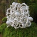 see more listings in the Porcelain Sculptures section