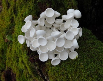 Hand Crafted Porcelain Sculpture. Cup Fungi Sculpture.