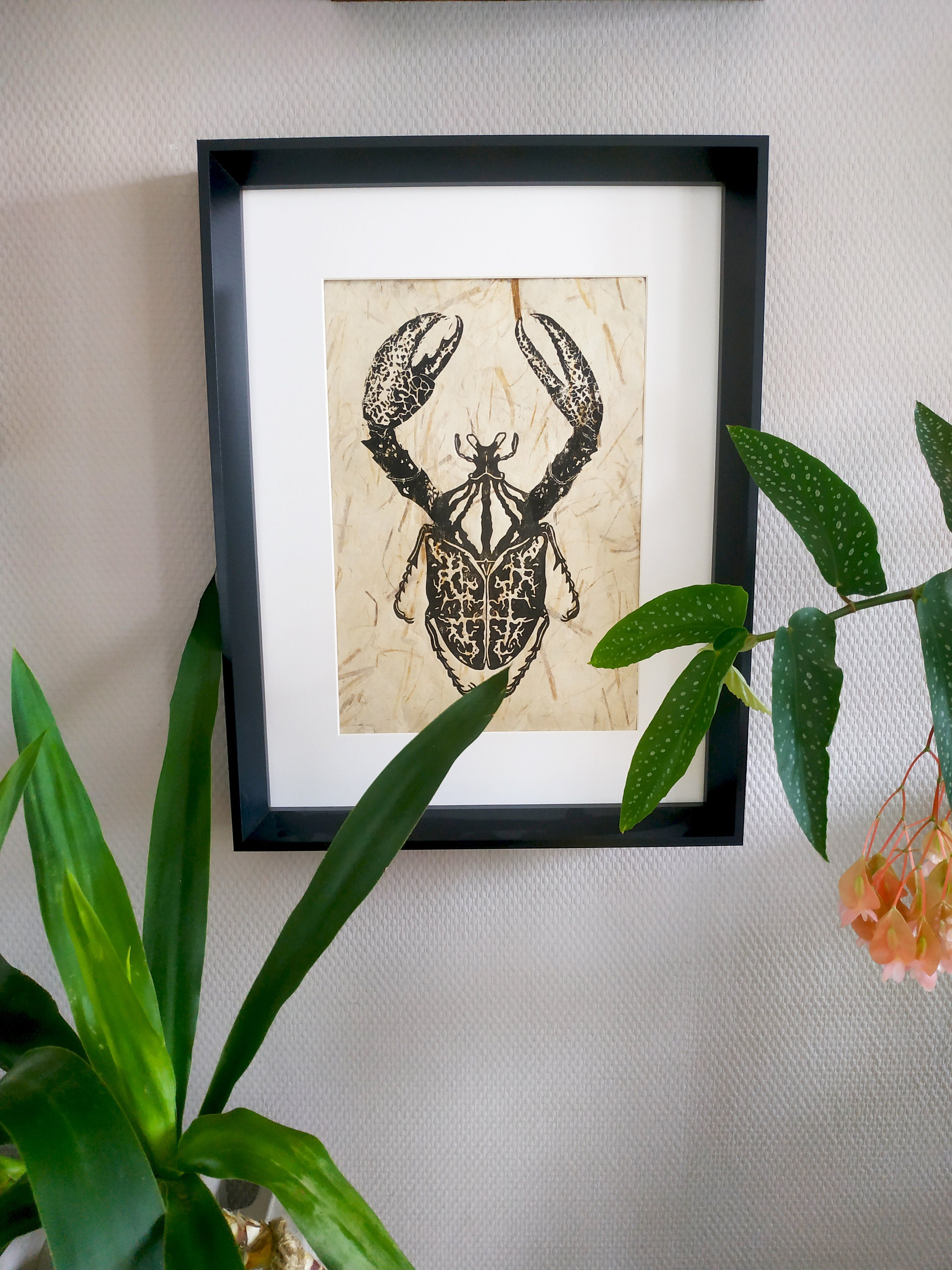 Goliath Aux Pinces, Linogravure d'un Scarabée, Goliath Royal, Gravure, Décoration, Cabinet de Curios