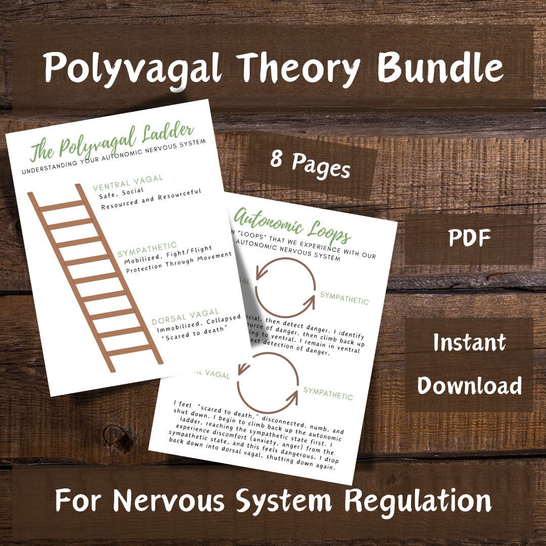 Polyvagal Theory Bundle Worksheets, Nervous System Regulation, Polyvagal Ladder, Autonomic