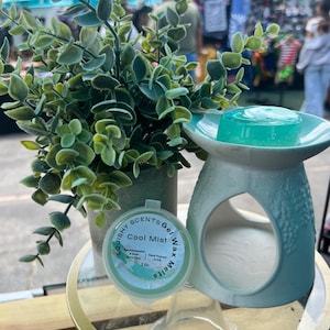 Cool Mist Gel Wax Melt
