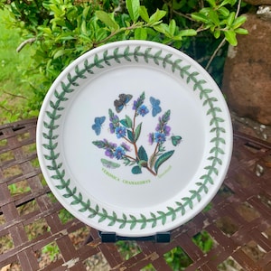 Vintage Veronica Chamaedrys Ehrenpreis Portmeirion Dekorativer Teller aus dem Botanischen Garten L@@K
