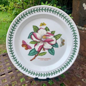 Vintage Magnolie Altissima Asiatische Magnolie Portmeirion Dekorative Platte aus dem Botanischen Garten L @ @ K