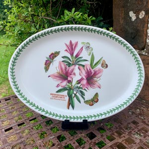 Vintage Rhododendrum Liliiflorum Lilie geblümte Azalee Portmeirion Dekorative Ovale Servierplatte Servierplatte aus dem Botanischen Garten L @ @ K