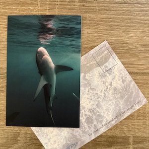 Postal de Galápagos (Doble cara)