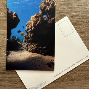 Postal de paisaje marino submarino