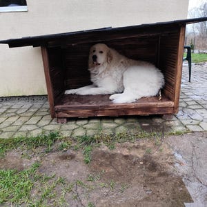 Ultiem gezellig verwarmd en zeer goed geïsoleerd hondenhok - weerbestendige, warme en comfortabele schuilplaats voor je pup het hele seizoen
