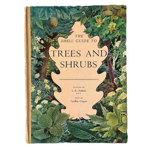 1.ª edición. Guía Shell de árboles y arbustos, 1958. Editado y escrito por Geoffrey Grigson. Pintado por S. R. Badmin.