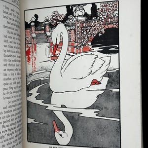 May include: Illustration from a children's book featuring a white swan with a red beak and feet, reflected in the water. The background includes a bridge and foliage, with the text "HE SAW BENEATH HIM HIS OWN FORM" at the bottom.