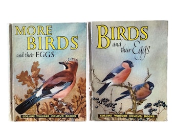 1960 Birds and their Eggs | More Birds and their Eggs -'Collins Wonder Books'