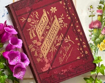 1870 Field Flowers: A Handy Book for The Rambling Botanist.