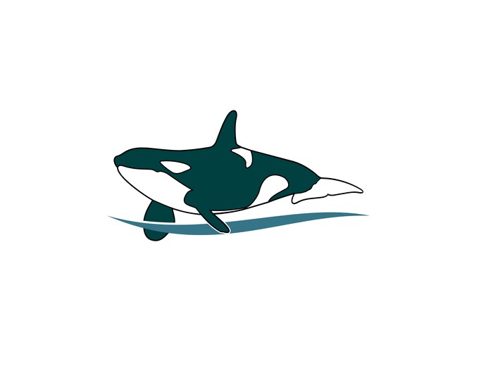 Orca logo design illustration