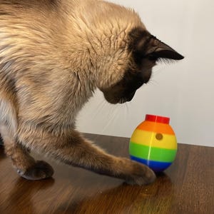 3-in-1 Modular Wobbly Cat Interactive Cat Treat Toy For Treats or Catnip - Rainbow