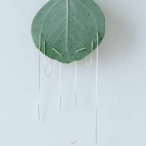 Puede incluir: Pendientes de cadena plateada colgando de una hoja verde sobre un fondo blanco. Los pendientes son delicados, con cadenas largas y finas. La hoja es de color verde apagado y el fondo es blanco.