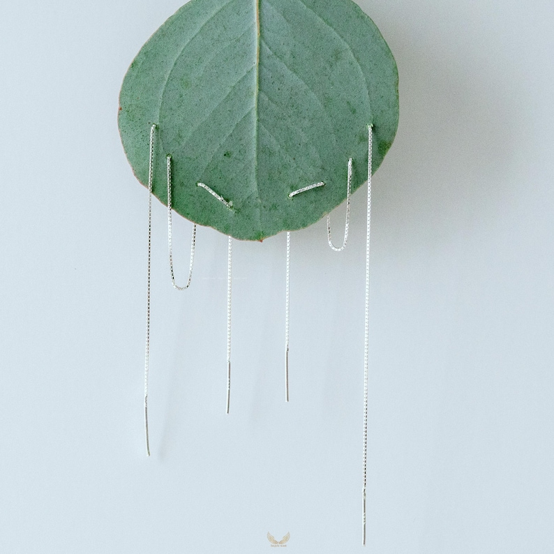 Puede incluir: Pendientes de cadena plateada colgando de una hoja verde sobre un fondo blanco. Los pendientes son delicados, con cadenas largas y finas. La hoja es de color verde apagado y el fondo es blanco.