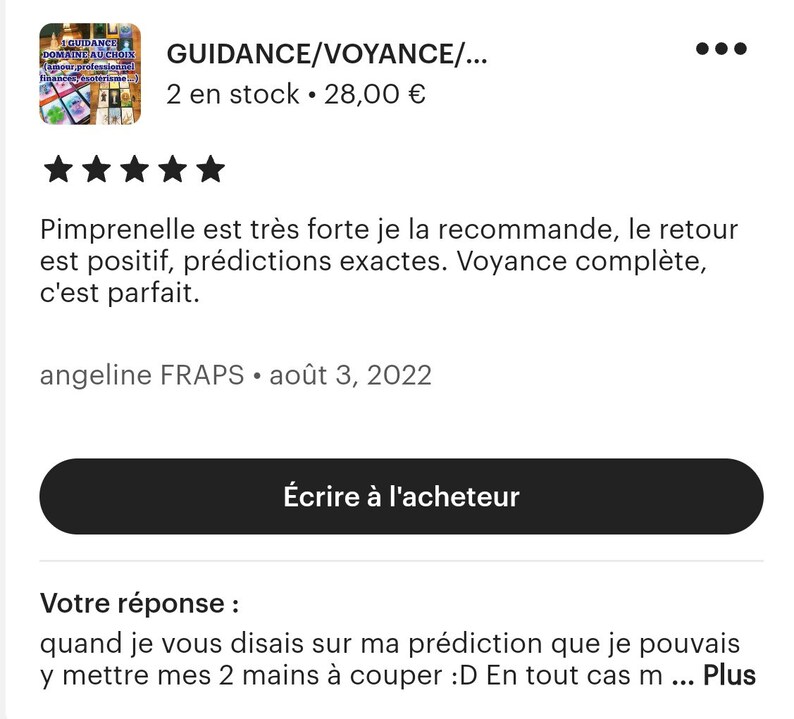 GUIDANCE/VOYANCE: tirage VISIO sur 1 domaine au choix amour, pro, famille... 40min env, divination par cartomancie, oracles adaptés image 2