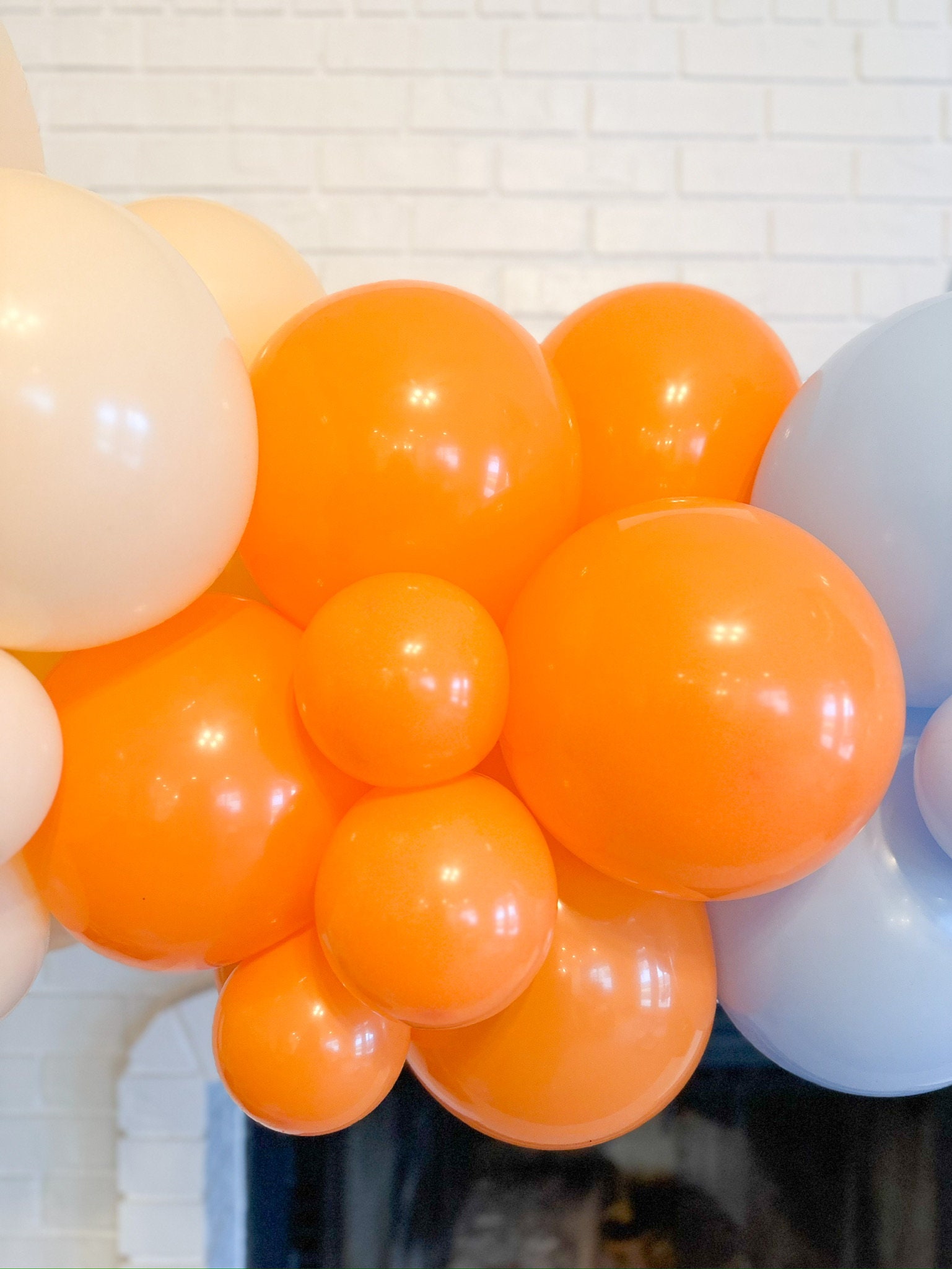 Bluey Birthday Party Decorations, Balloon Garland Backdrop, Balloon Arch Kit, Birthday Party Decor