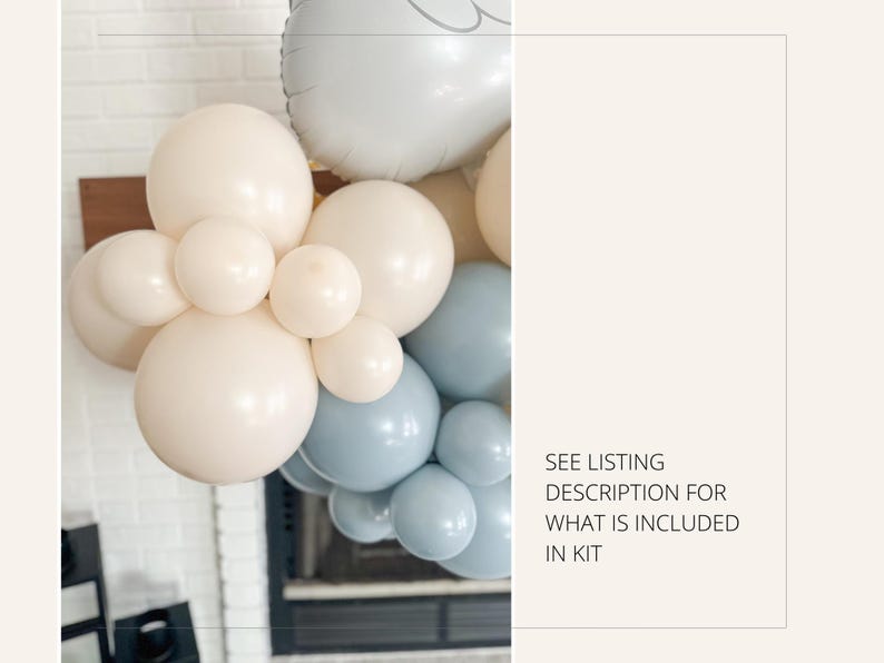 One Silly Goose Birthday Balloon Decorations, Two Silly Birthday ...