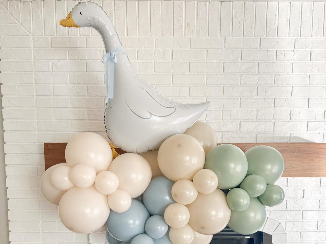 One Silly Goose Birthday Balloon Decorations, Two Silly Birthday ...