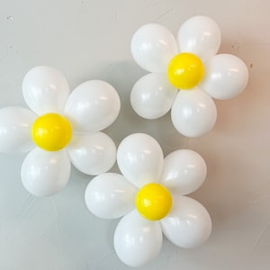 Daisy Balloons, Daisy Party Balloon Arch Kit, Birthday Party Decorations, Daisy Latex Balloons