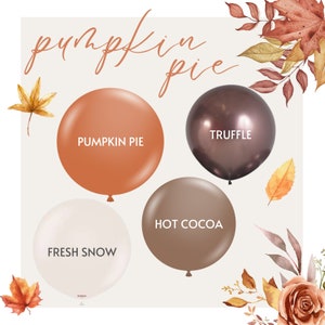 Fall Matte Balloon Arch Kit, Rustic Colors, Baby Shower Decorations