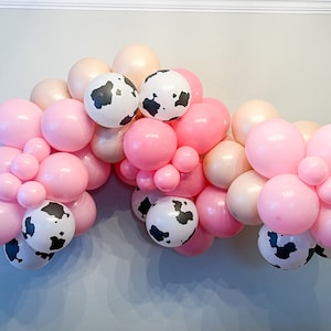 My First Rodeo Birthday Decorations, Cowgirl Birthday Party Balloon Arch Kit, Western Pink Party Decor, Girl First Birthday Party