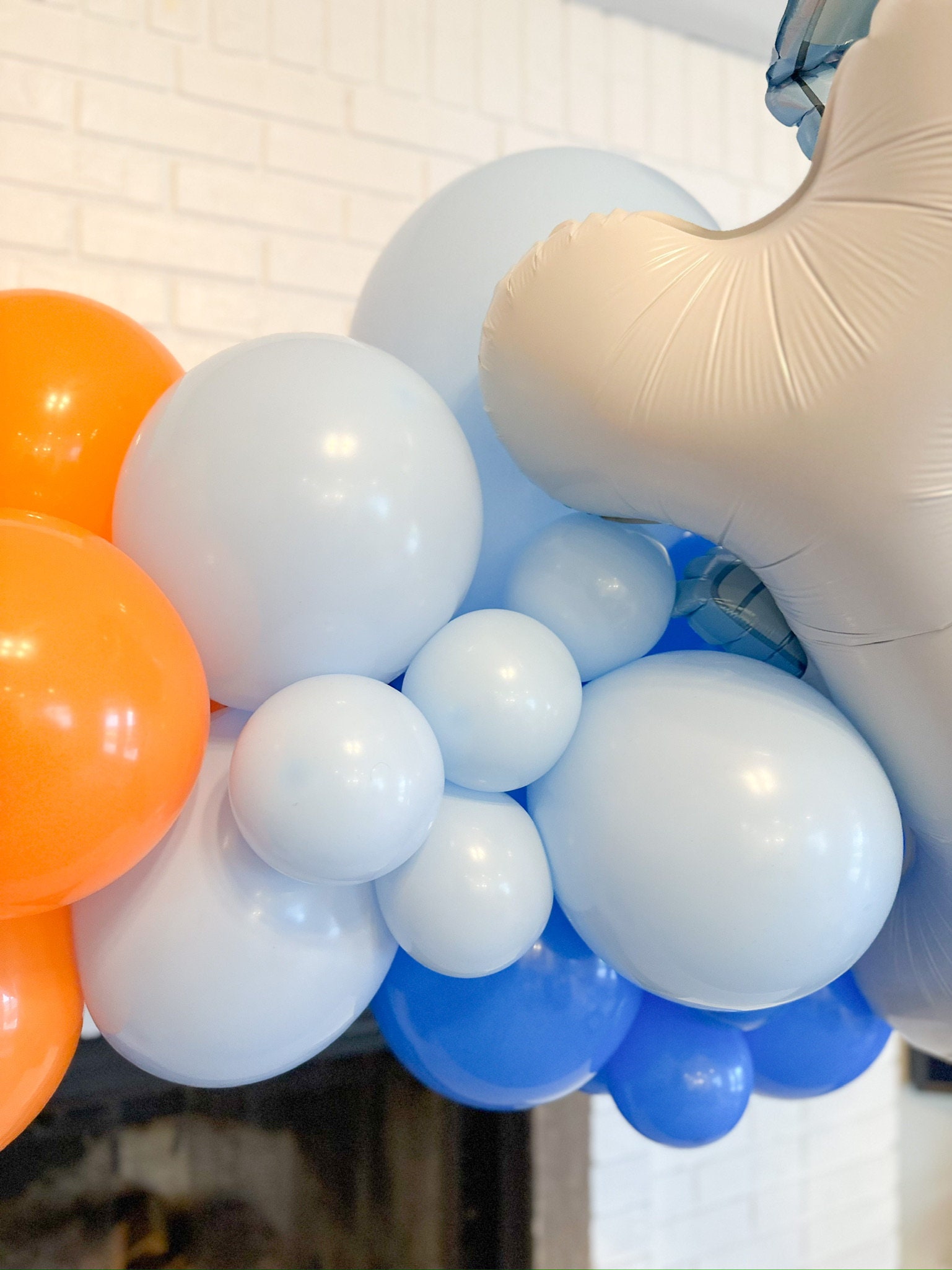 Bluey Birthday Party Decorations, Balloon Garland Backdrop, Balloon Arch Kit, Birthday Party Decor