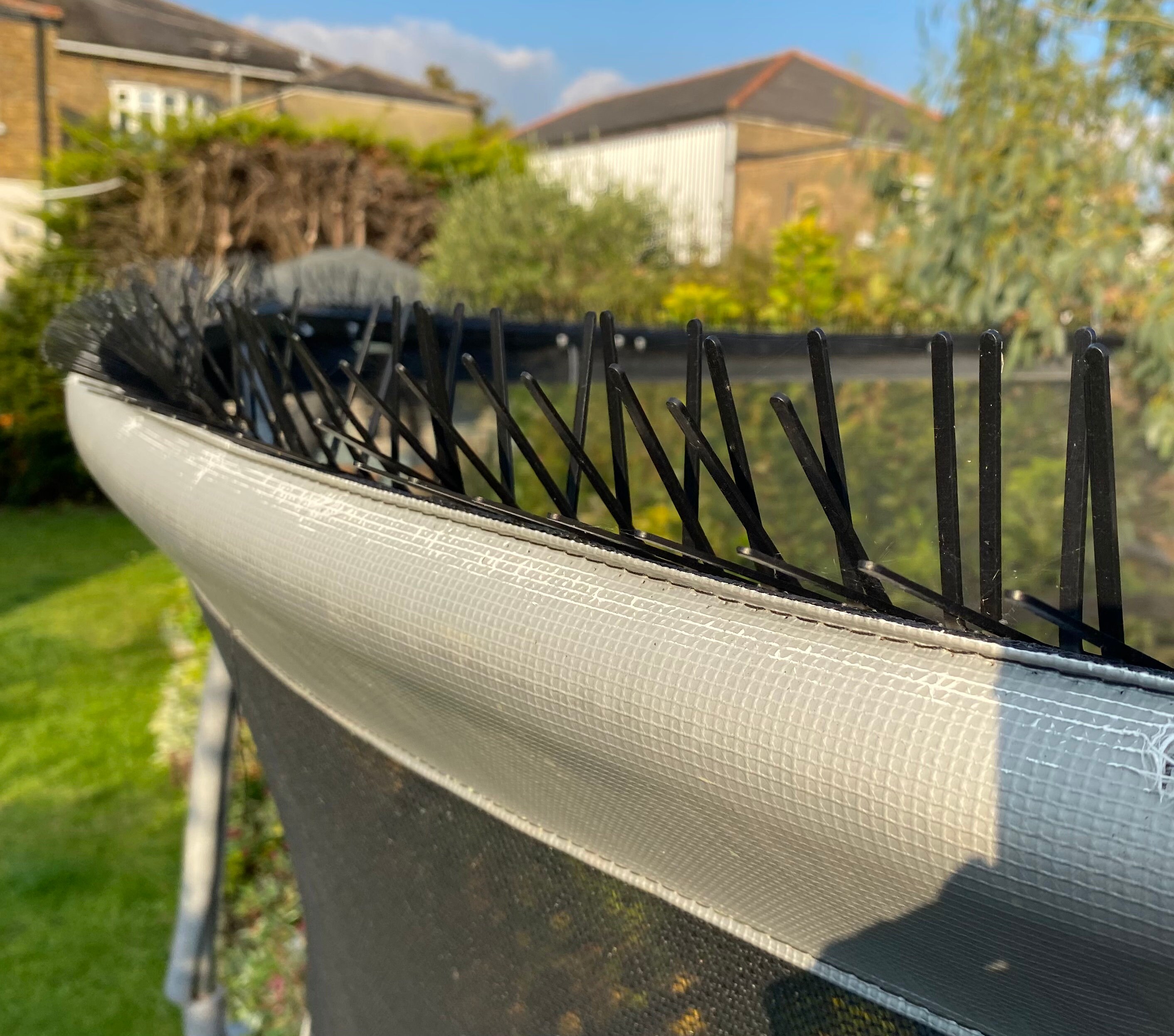 cliff guide lilac stop birds pooping on trampoline paper scarf Surprised