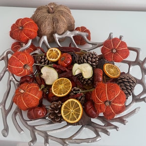Autumn and Winter Wreath Making Decorations - Mixed bag of 43 pieces of Dried Fruit, Cones, Pumpkins, Chillis. Lotus Heads and Cinnamon