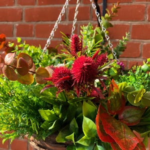 May include: A hanging basket filled with a variety of artificial plants and flowers. The basket is made of woven material and features a mix of green foliage, red flowers, and brown leaves.